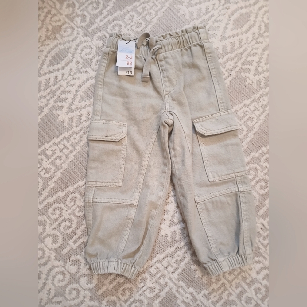 NWT Cargos Gray-Green